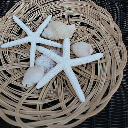 Terracielo Pensionat Monopoli